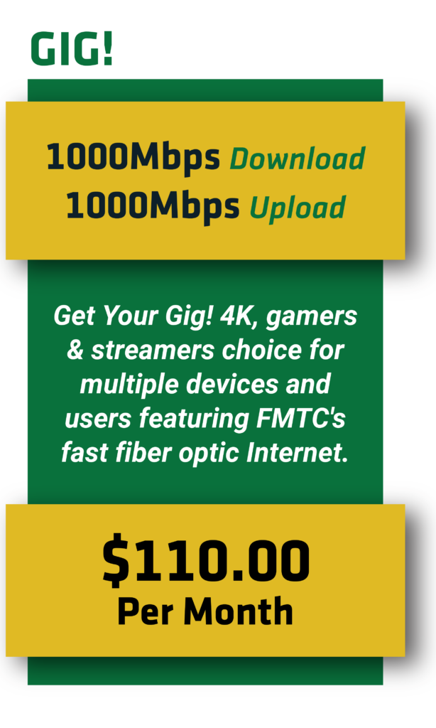 1000 Mb fiber