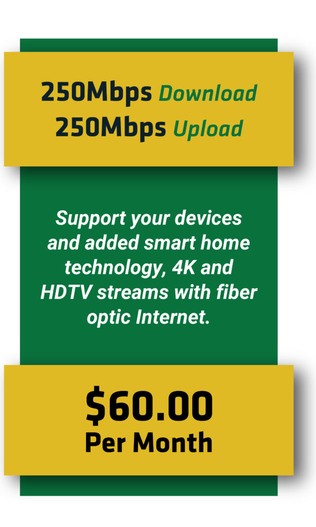 250 Fiber