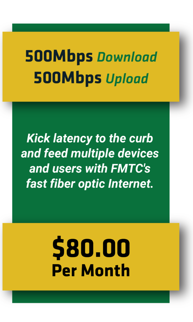 500 fiber